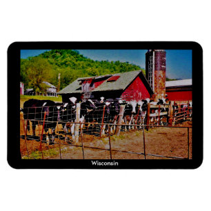 Imán Vacas de Wisconsin
