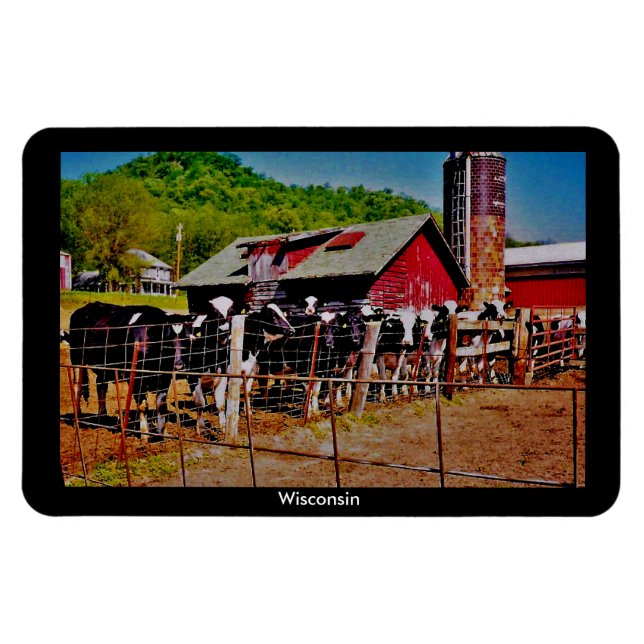 Imán Vacas de Wisconsin (Horizontal)