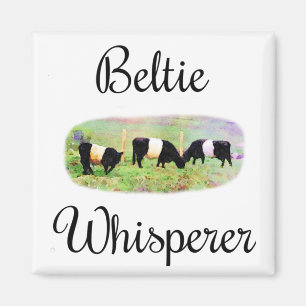 Imán Vacas divertidas para el ganado gay Beltie Whisper