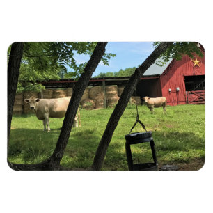 Imán Vacas y granjas, impresión rural de lienzo en Caro