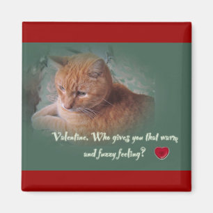 Imán Valentine del gato