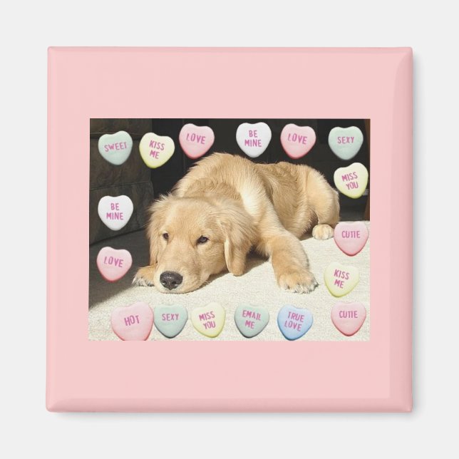 Imán Valentine Golden Retriever Puppy (Frente)