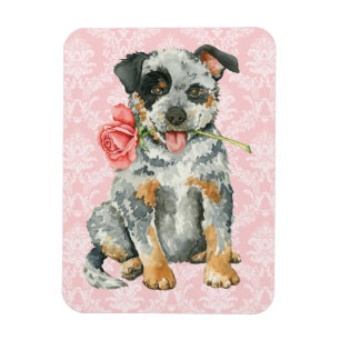 Imán Valentine Rosa ACD