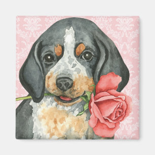 Imán Valentine Rosa Bluetick