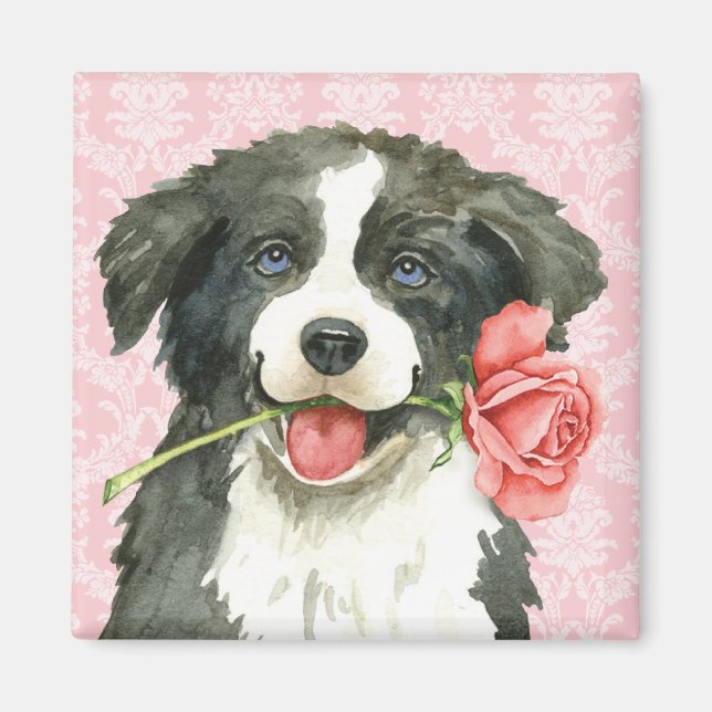 Imán Valentine Rosa Border Collie (Frente)