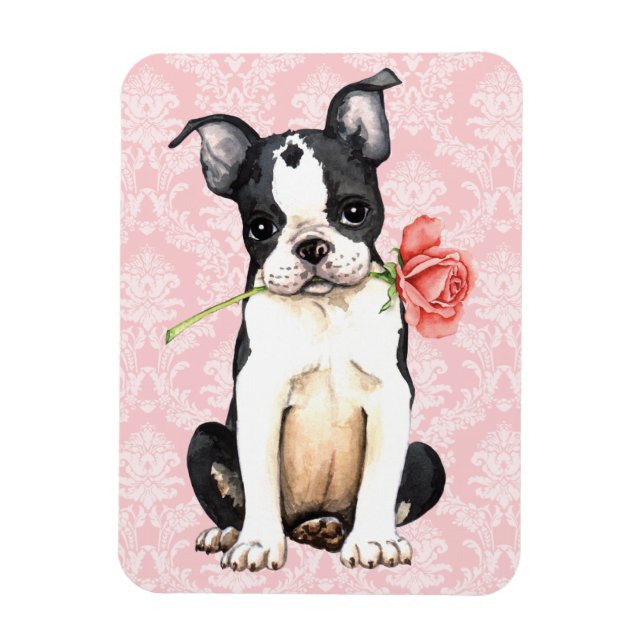 Imán Valentine Rosa Boston Terrier (Vertical)