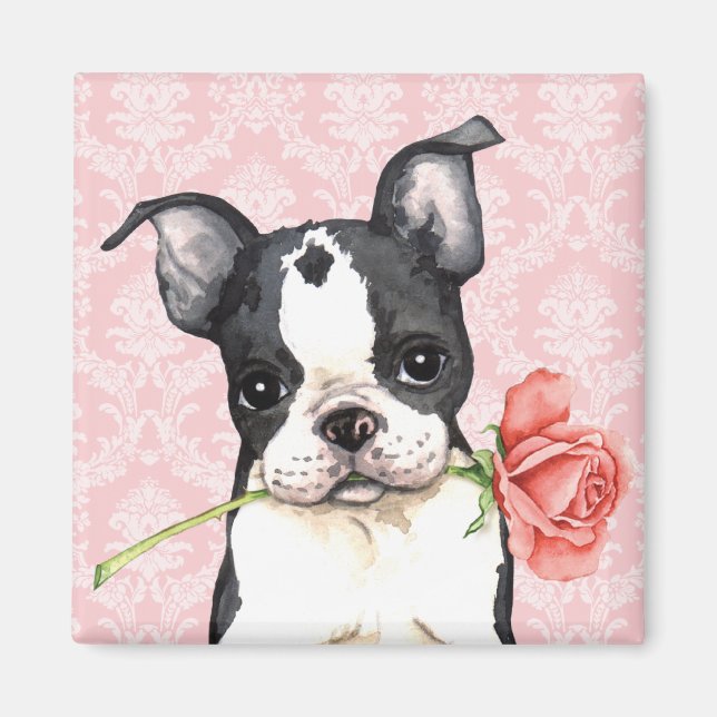 Imán Valentine Rosa Boston Terrier (Frente)