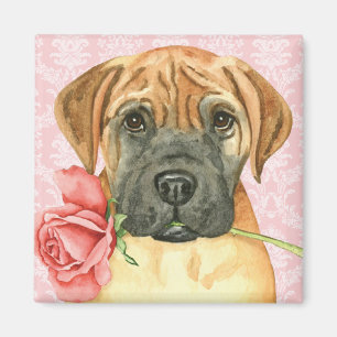 Imán Valentine Rosa Bullmastiff Magnet