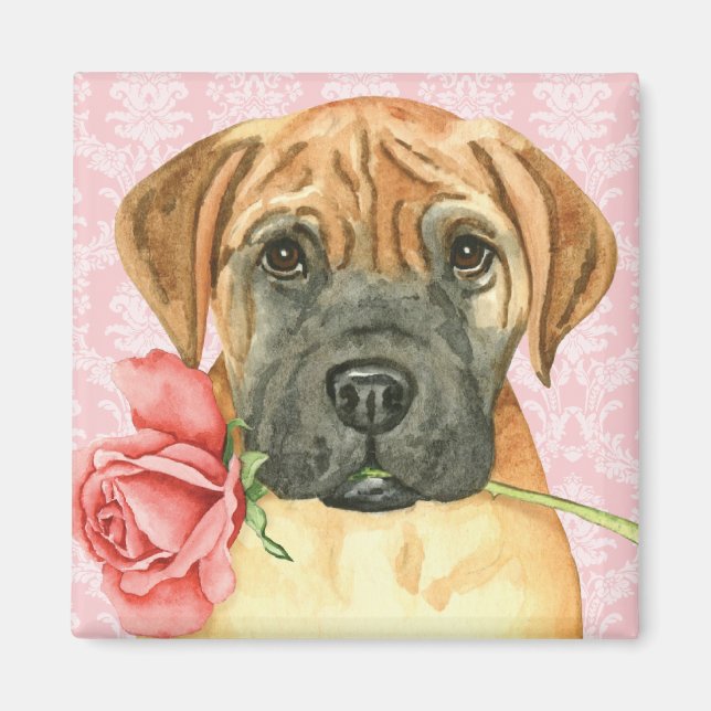 Imán Valentine Rosa Bullmastiff Magnet (Frente)
