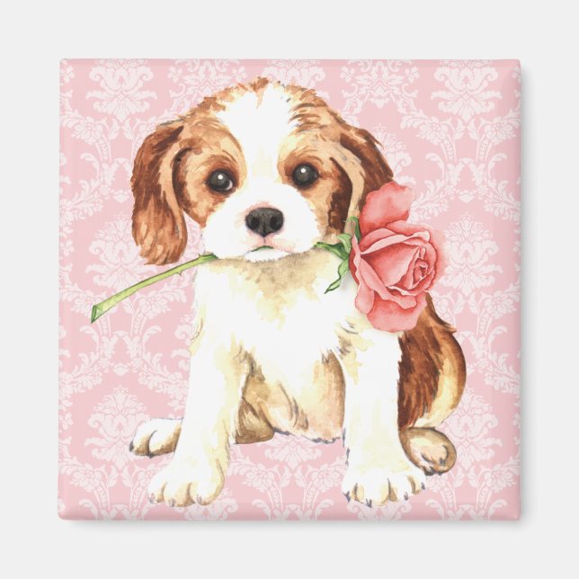 Imán Valentine Rosa Cavalier (Frente)