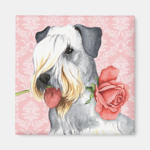 Imán Valentine Rosa Cesky Terrier