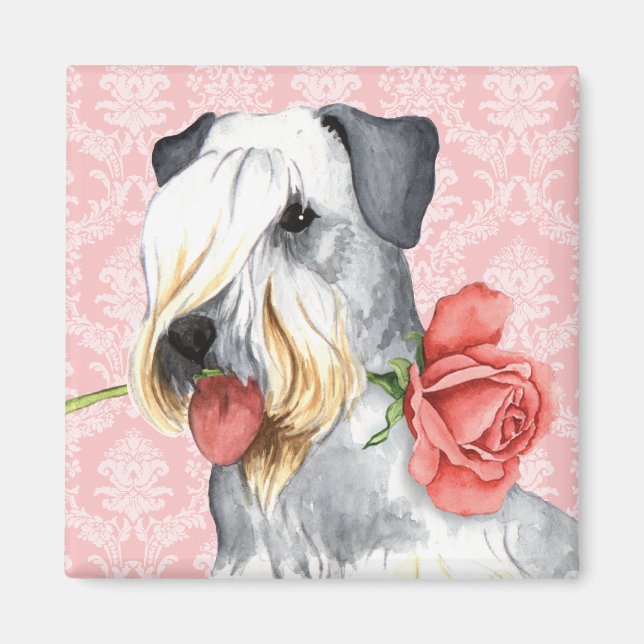Imán Valentine Rosa Cesky Terrier (Frente)