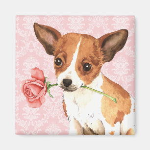Imán Valentine Rosa Chihuahua