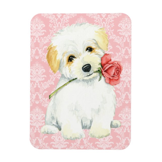 Imán Valentine Rosa Coton de Tulear (Vertical)