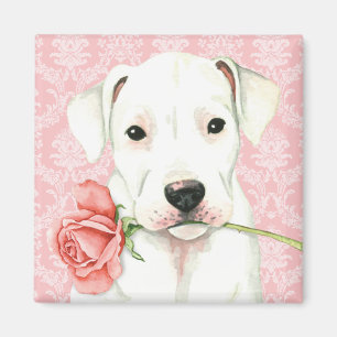 Imán Valentine Rosa Dogo