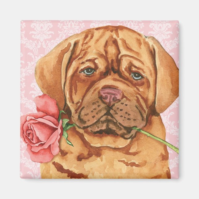Imán Valentine Rosa Dogue de Bordeaux (Frente)