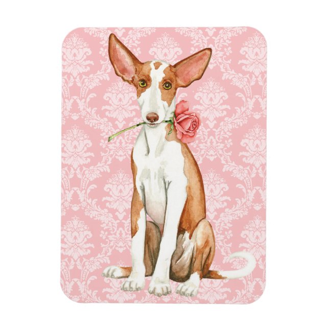 Imán Valentine Rosa Ibizan Hound (Vertical)
