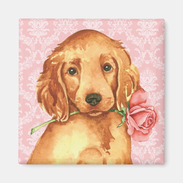 Imán Valentine Rosa Irish Setter (Frente)