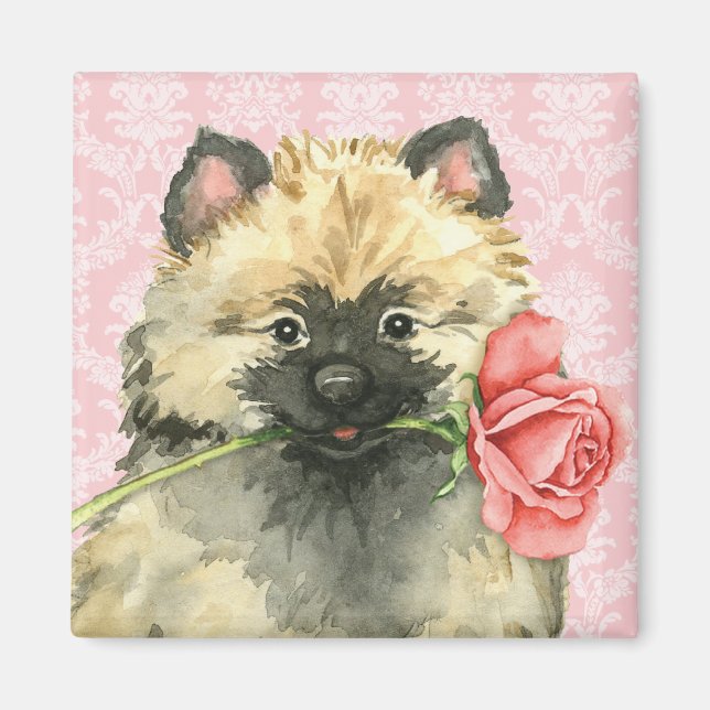 Imán Valentine Rosa Keeshond (Frente)