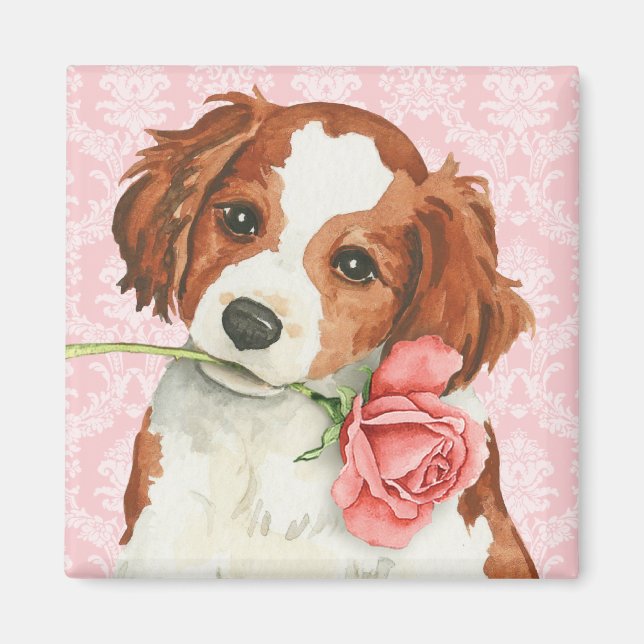Imán Valentine Rosa Kooiker (Frente)