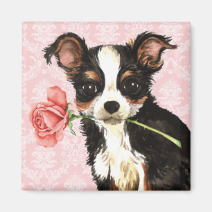 Imán Valentine Rosa Long Coat Chihuahua