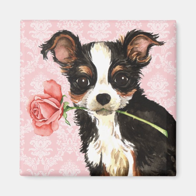 Imán Valentine Rosa Long Coat Chihuahua (Frente)