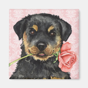 Imán Valentine Rosa Rottweiler