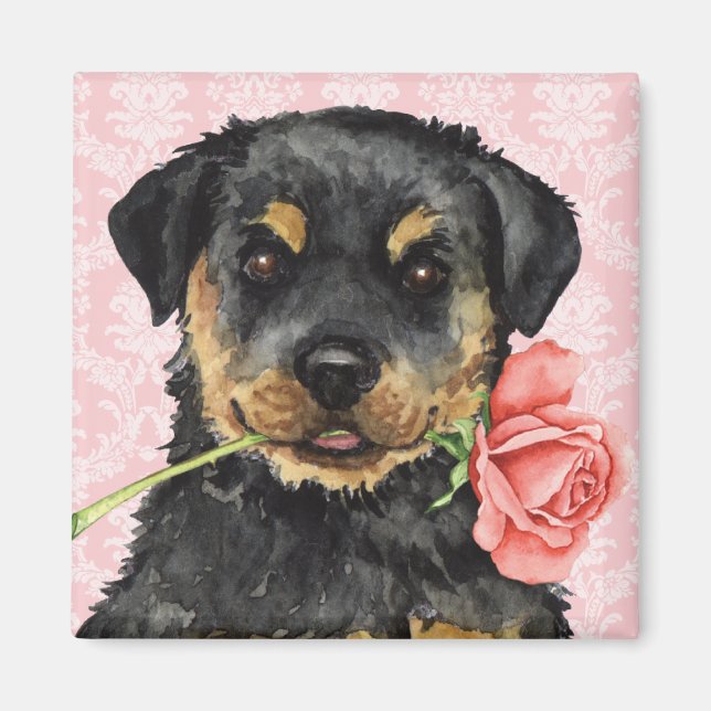 Imán Valentine Rosa Rottweiler (Frente)