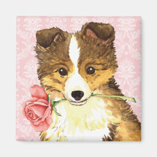 Imán Valentine Rosa Sheltie