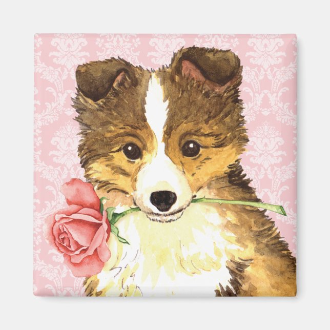 Imán Valentine Rosa Sheltie (Frente)