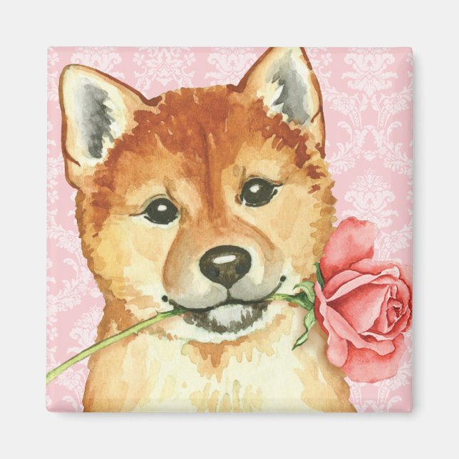 Imán Valentine Rosa Shiba Inu (Frente)