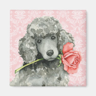 Imán Valentine Rosa Standard Poodle