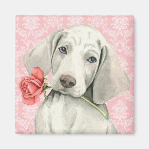 Imán Valentine Rosa Weimaraner