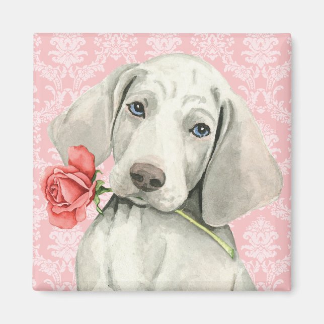 Imán Valentine Rosa Weimaraner (Frente)