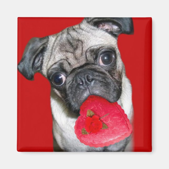 Imán Valentines pug imnet (Frente)