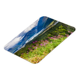 Imán Valle de Matanuska, Alaska del Sur