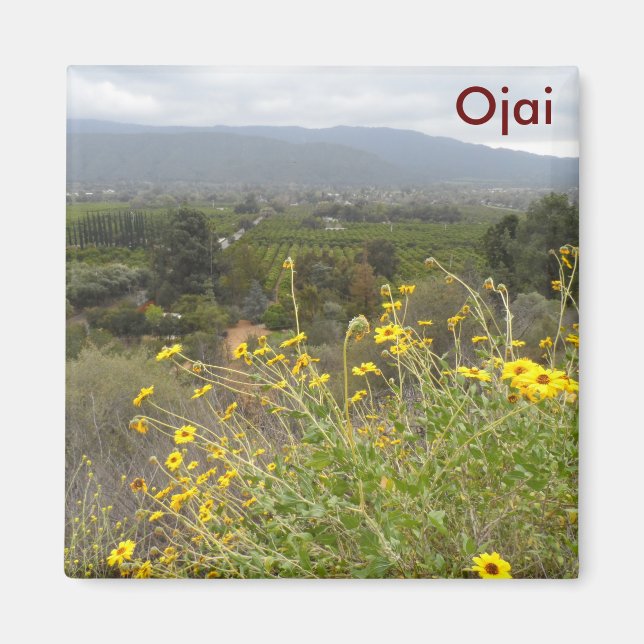 Imán Valle de Ojai, California (Frente)