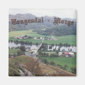Imán Valle de Tengesdal