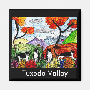 Imán Valle de Tuxedo