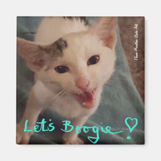 Imán ¡Vamos Boogie!