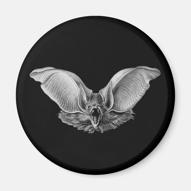 Imán ¿Vampiro? ¿Bat? (Frente)