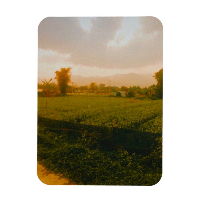 Imán Vang Vieng - Laos  (Vertical)