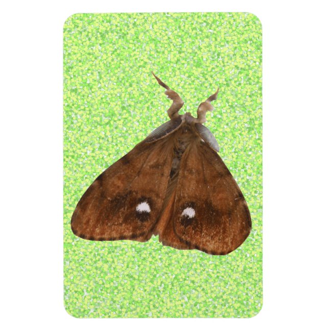 Imán Vapourer Moth Premium Magnet (Vertical)