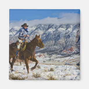 Imán Vaquero en las grietas 2 del cuero del caballo que