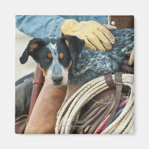 Imán Vaquero y perro en caballo