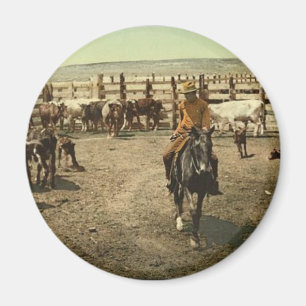 Imán Vaqueros y vacas