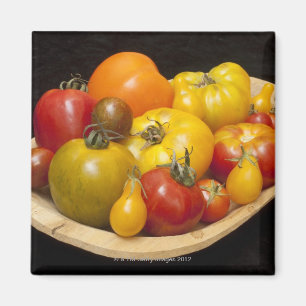 Imán Variedad de tomates