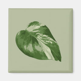 Imán Variegated Monstera Albo Magnet
