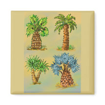 Variétés de palmiers en couleurs.