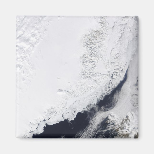 Imán Varios tipos de hielo marino (Frente)